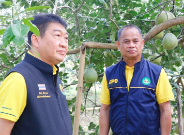 ลงพื้นที่ตรวจเยี่ยมและติดตามการดำเนินงานของศูนย์เรียนรู้การปลูกส้มโอทับทิมสยามบ้านแสงวิมานตำบลคลองน้อย อำเภอปากพนัง จังหวัดนครศรีธรรมราช โดยนายชวกิจจ์ สุวรรณคีรี รองผู้ว่าราชการจังหวัดนครศรีธรรมราช กล่าวต้อนรับพร้อมนายวิศิษฐ์ ศรีสุวรรณ์ อธิบดีกรมส่งเสริม ... พารามิเตอร์รูปภาพ 4